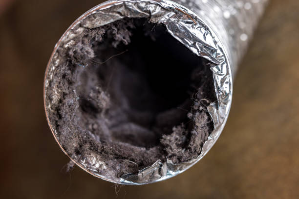 Trusted Florida Gulf Coast University, FL Airduct Cleaning Experts